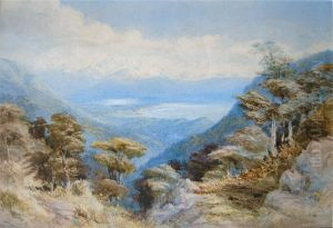 Arthur Range, Nelson by John Gully