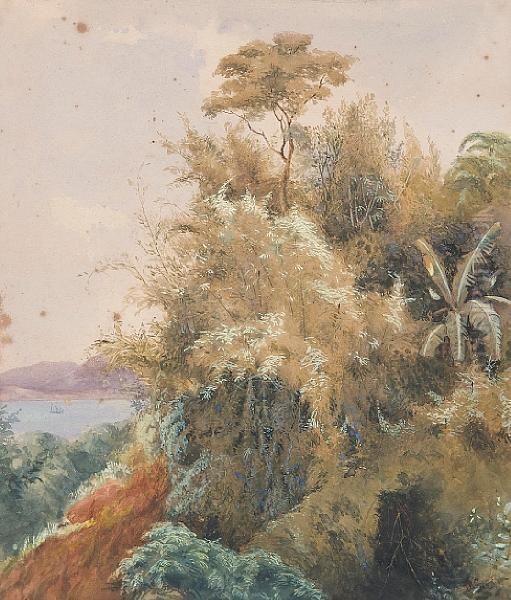 Tropical Trees With A Bay In Thedistance - view 1