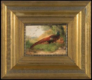 Couple Of Pheasants by Max I Hanger