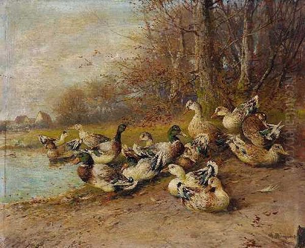 Enten Am Teich - view 1
