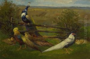 Federvieh Am Gatter. by Max I Hanger