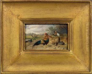 Hahn Mit Hennen Aufeiner Wiese by Max I Hanger