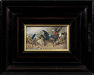 Geflugelhof Mithollander Weishauben-huhnern Und Pfauhahn by Max I Hanger