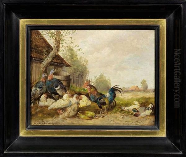 Vogelgruppe Mit Huhnern,truthennen Und Enten An Einem Gehoft - view 1