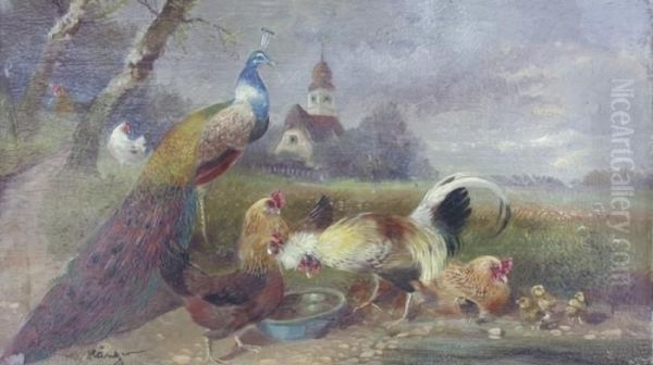 Federvieh - view 1