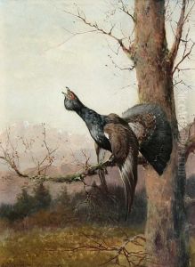 Auerhahn Im Geast by Max I Hanger
