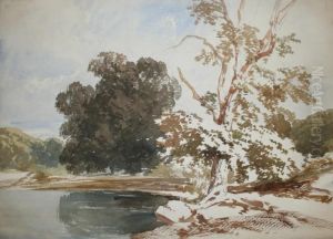 An Album Of Tree Studies,
Landscape Sketches And Architectural Details Fifty Ones Leaves Of Wash Drawings An Album Of Tree Studies,
Landscape Sketches And Architectural Details Fifty Ones Leaves Of Wash Drawings