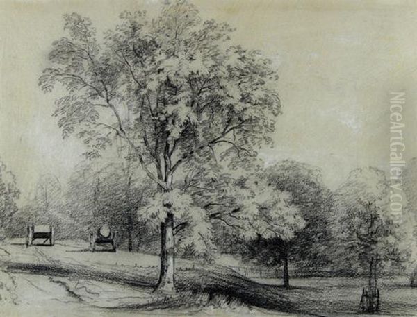 Trees And Carts - view 1