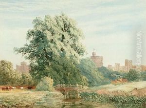 Windsor Castle From The Lower Meadow