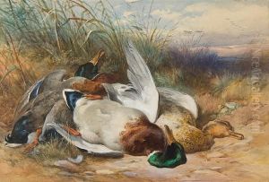 Still Life Of Wildfowl Upon Sand Dunes
