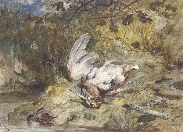 A Dead Woodcock By A Stream - view 1