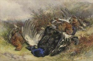 Dead Grouse And Blackcock Dead Grouse And Blackcock
