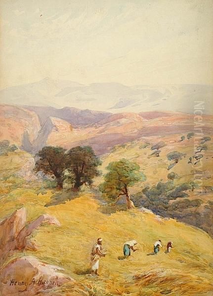 The Fields Between Jerusalem And Jericho - view 1