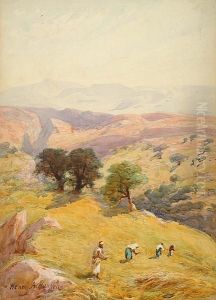 The Fields Between Jerusalem And Jericho