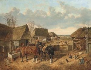In The Farmyard