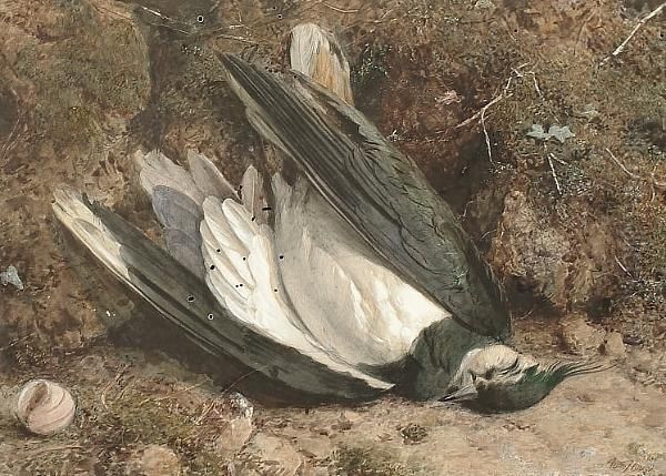 A Fallen Lapwing On A Mossy Bank - view 1