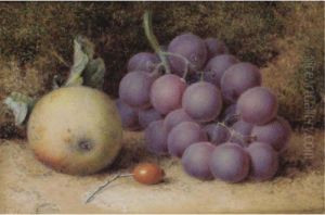 Still Life