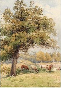 Cattle Grazing; Pastoral Scene Cattle Grazing; Pastoral Scene