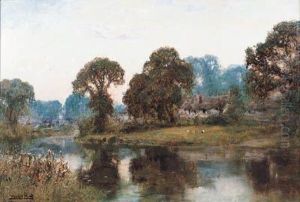 A Quiet Stream