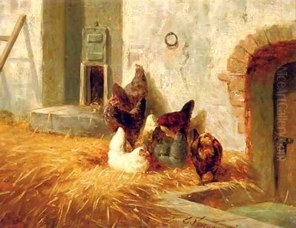 Hens outside their pen - view 1