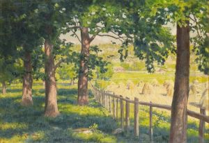 Sommarlandskap Med Hovolmar