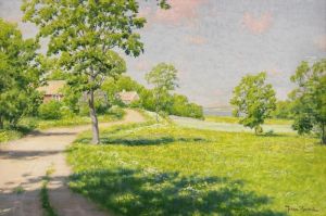 Sommarlandskap Med Stugor