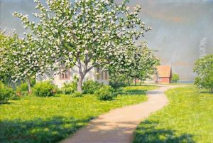 Sommarlandskap