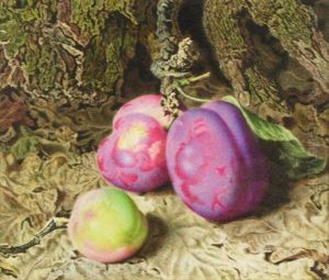 Plums And Grapes