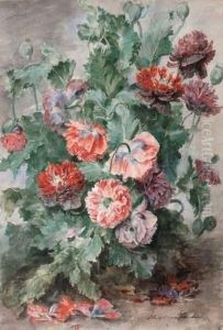 Fleurs