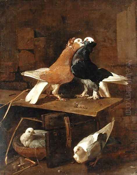 Pigeons - view 1