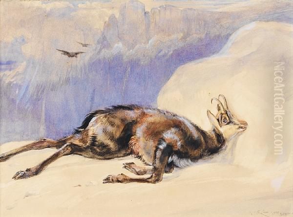 A Chamois In The Tyrol - view 1