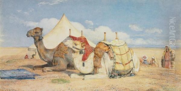 Camels In The Desert Near, Edfou, Upper Egypt - view 1