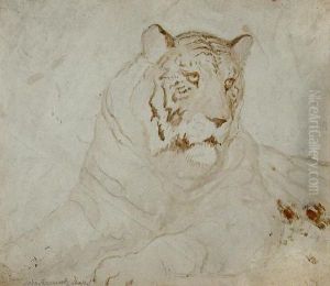 Study Of A Tiger by John Frederick Lewis