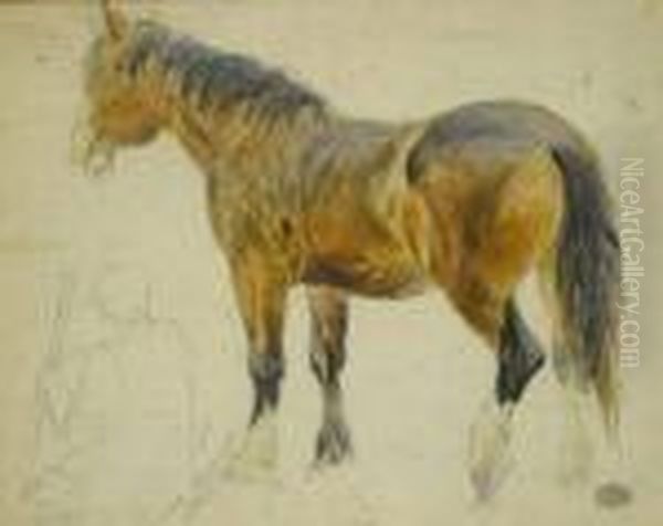 Study Of A Horse - view 1