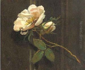 A rose A rose