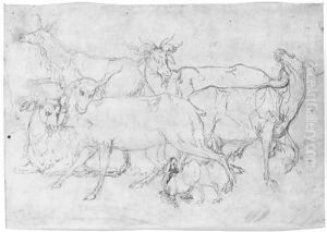 Five goats