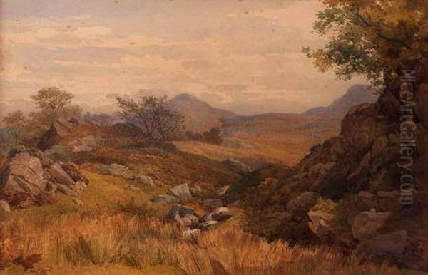 In Borrowdale - view 1