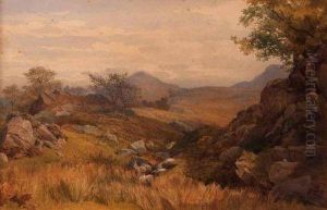 In Borrowdale by John Henry Mole