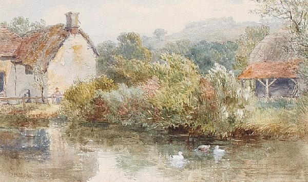 A Summer Pond - view 1
