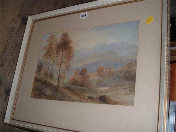 Hillside View With Birch Trees - view 1