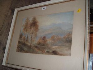 Hillside View With Birch Trees