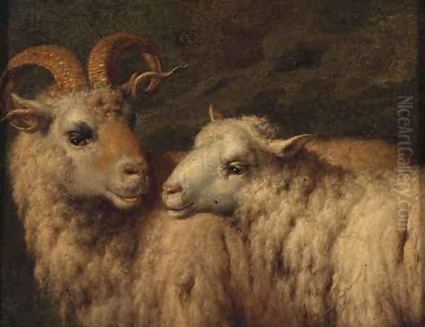 A Ram and a Ewe - view 1