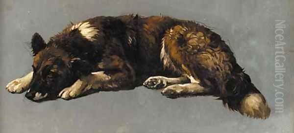 A sleeping dog, a sketch - view 1