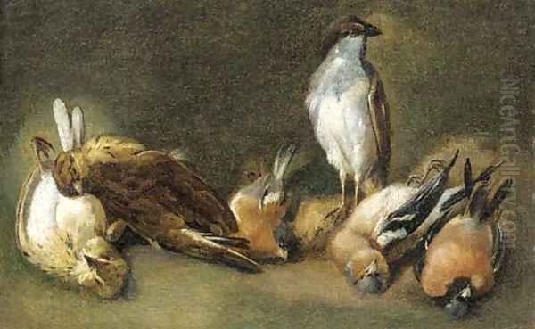 A study of songbirds - view 1
