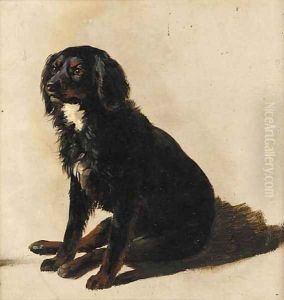 A seated dog, a sketch