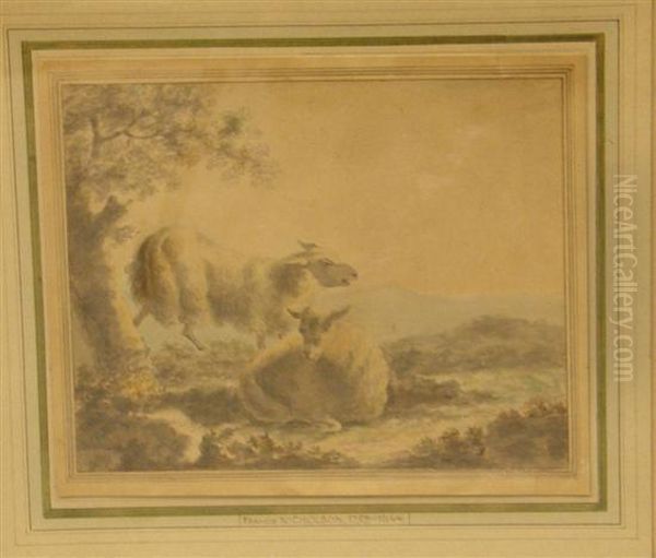Two Sheep - view 1