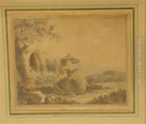 Two Sheep