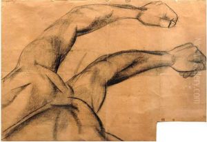 Estudio De Brazos Y Torso