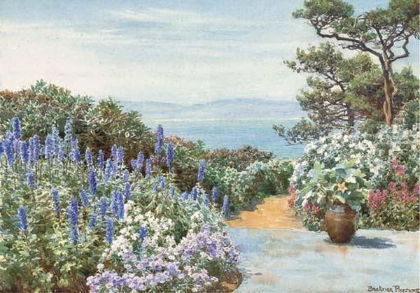 A Mediterranean Garden - view 1