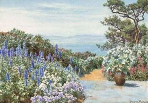 A Mediterranean Garden A Mediterranean Garden